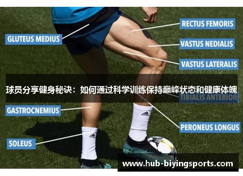 球员分享健身秘诀：如何通过科学训练保持巅峰状态和健康体魄