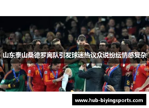山东泰山桑德罗离队引发球迷热议众说纷纭情感复杂