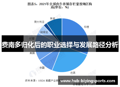 费南多归化后的职业选择与发展路径分析
